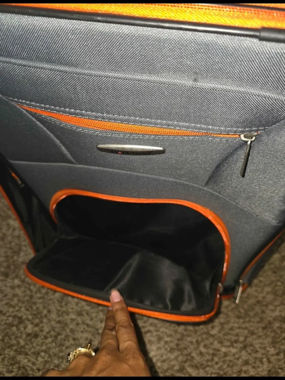 20 Inch & Carry-On Travel Luggage Set